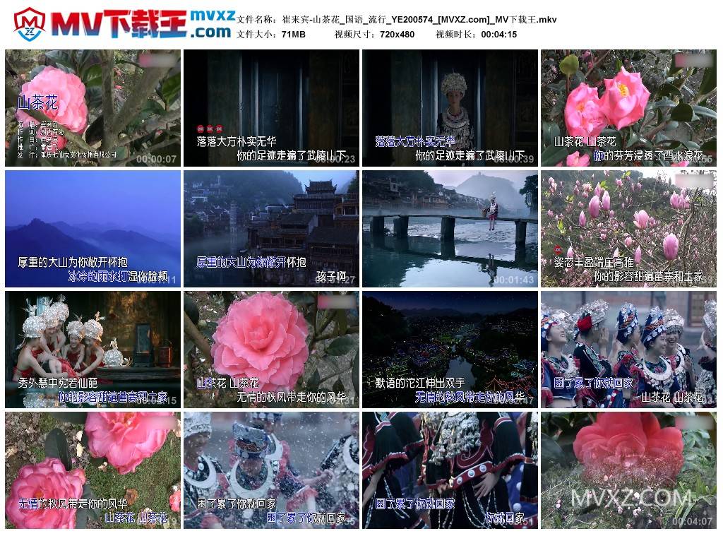 崔来宾-山茶花_国语_流行_YE200574